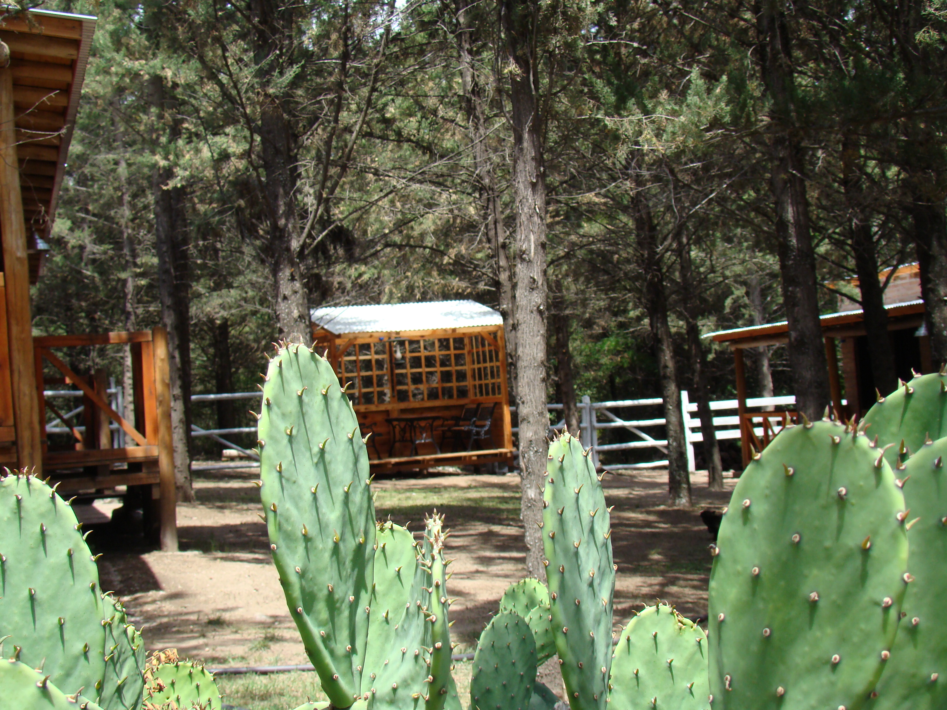 Hostería - DSC03520